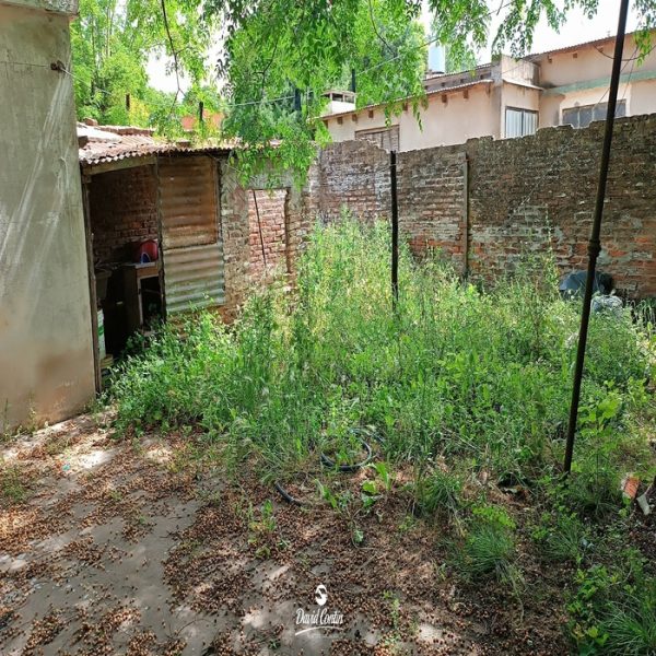 8586ef0f-5cdb-43c3-a676-8f96265cdb4a